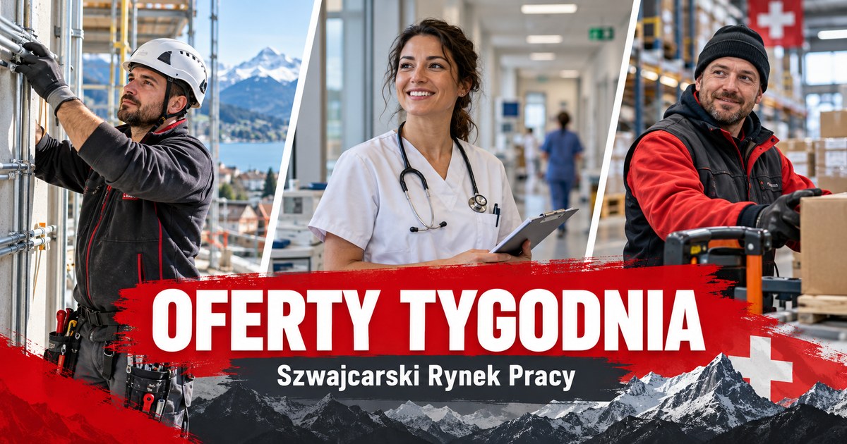 Instalator, pracownica ochrony zdrowia i logistyk na grafice Oferty tygodnia